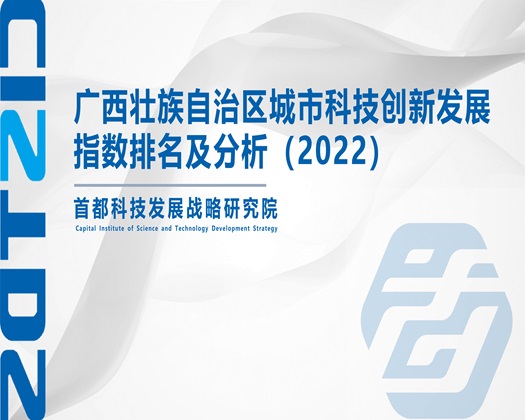 插逼大全【成果发布】广西壮族自治区城市科技创新发展指数排名及分析（2022）